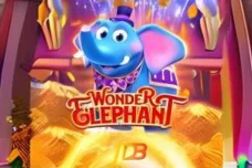 Battery Bet JDB Wonder Elephant